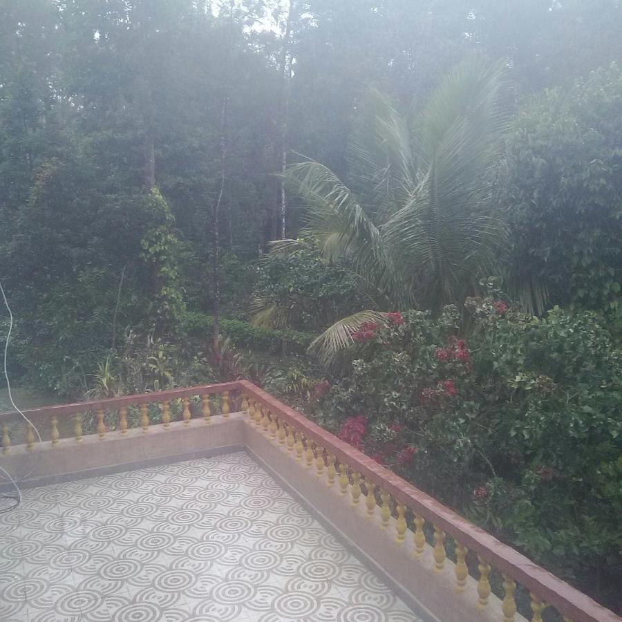 Hill Side Estate Appartement Madikeri Buitenkant foto